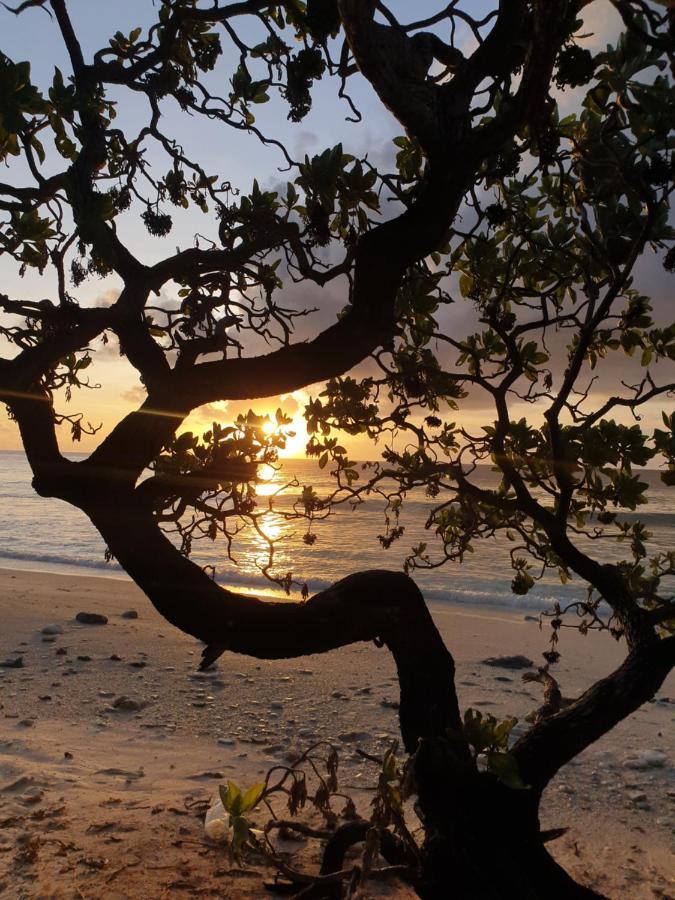 Isle Royal Inn Fuvahmulah Екстериор снимка